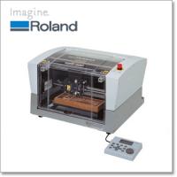 Roland EGX-350